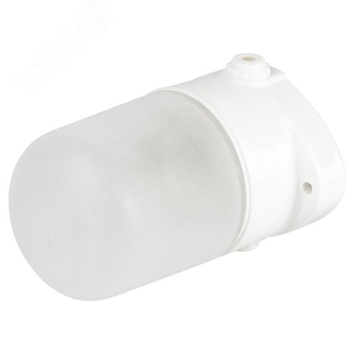 Светильник для бани керамика/стекло прямой IP54 E27 max 60Вт 135х110х85 белый НББ 02-60-001 - фото 2