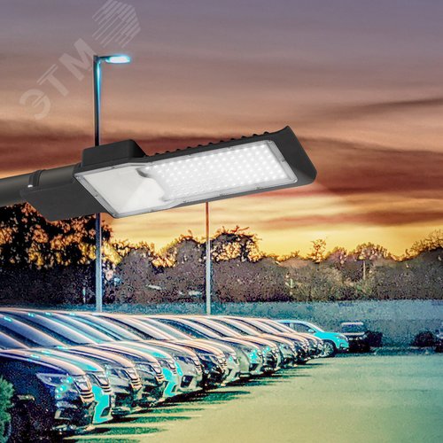 Светильник уличный светодиодный ДКУ 100Вт 5000К 10000Лм КСС Ш 48мм SPP-503-0-50K-100 - фото 10