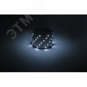 Лента светодиодная 7,2Вт/м 12В 6500К IP20 30LED/м LS5050-7,2-30-12-6500K-IP20-1 year-5m - фото 2