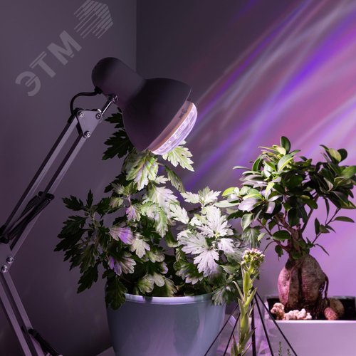 Лампа светодиодная лампа для растений тип BR30,15 Вт, 220-240V FITO-15W-Ra90-E27 - фото 6