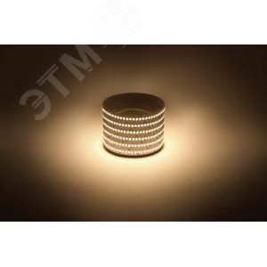 Лента светодиодная 19,2Вт/м 12В 3000К IP20 240LED/м LS2835-19,2-240-12-3000K-IP20-1 year-5m - фото 2