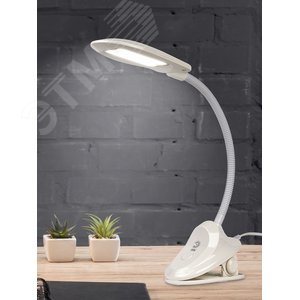 Светильник светодиодный настольный NLED-478-8W-W белый - фото 2