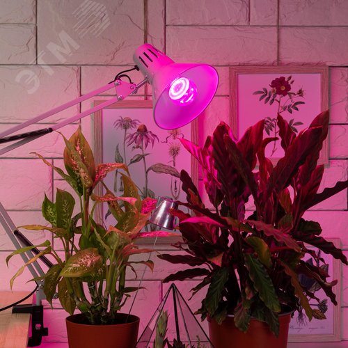 Лампа для растений FITO-10W-RB-E27 - фото 6