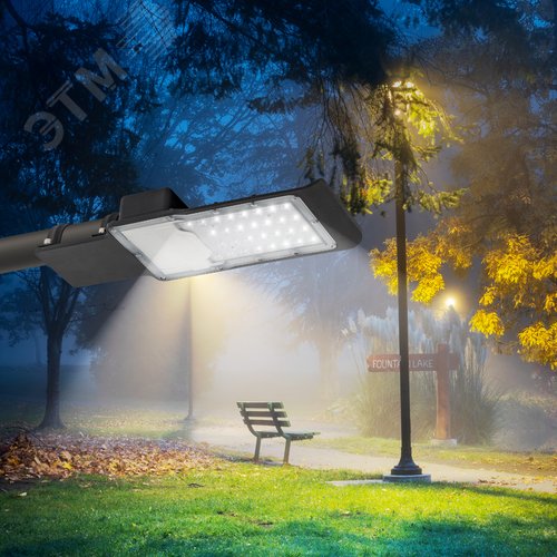 Светильник уличный светодиодный ДКУ 30Вт 5000К 3000Лм КСС Ш-с DOB-SMD 48мм пульсации<5% SPP-503-0-50K-030 - фото 9