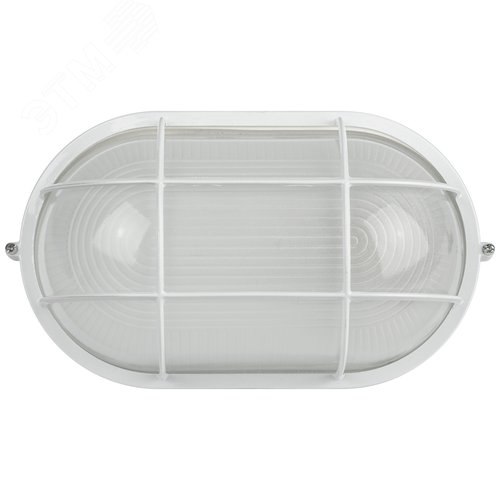 Светильник светодиодный НБП 04-100-002 100Вт, Е27, 220В, IP54, УЗ 8/144 - фото 3