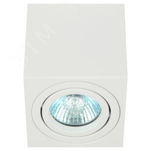 Светильник настенно-потолочный спот OL22 WH MR16/GU10, белый, поворотныйлампа MR16 ( в комплект не входит)