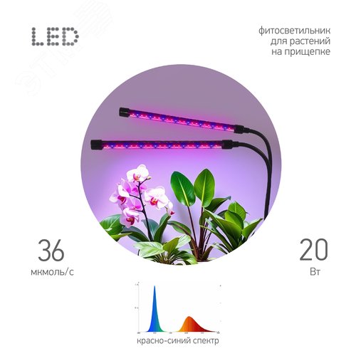 Светильник светодиодный для растений на прищепке красно-синего спектра 20 Вт FITO-20W-АLED-RB - фото 2