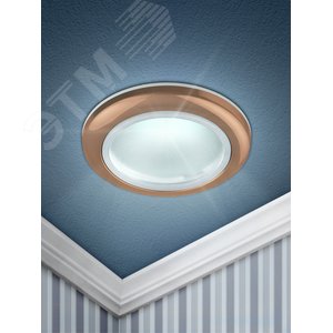 Светильник встраиваемый WR1 SC влагозащищенный MR16 12V/220V 50W медь (100/2400) - фото 2