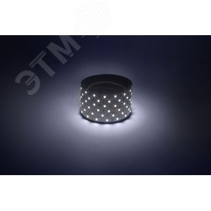 Лента светодиодная 4,8Вт/м 12В 6500К IP20 60LED/м LS2835-60LED-IP20-W-eco-5м - фото 3