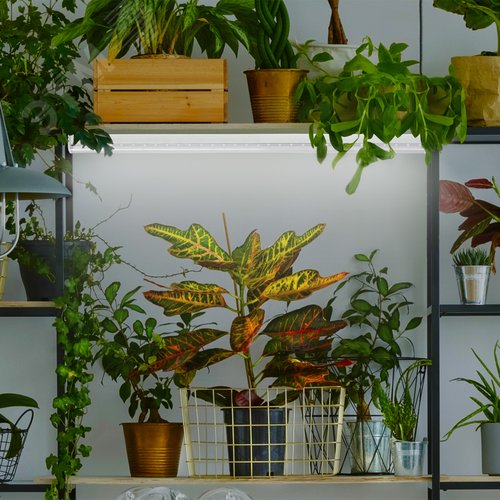 Лампа светодиодная полноспектральная Т8 с красными и белыми светодиодами для профессионального выращивания растений FITO-9W-Ra90-Т8-G13-NL - фото 2