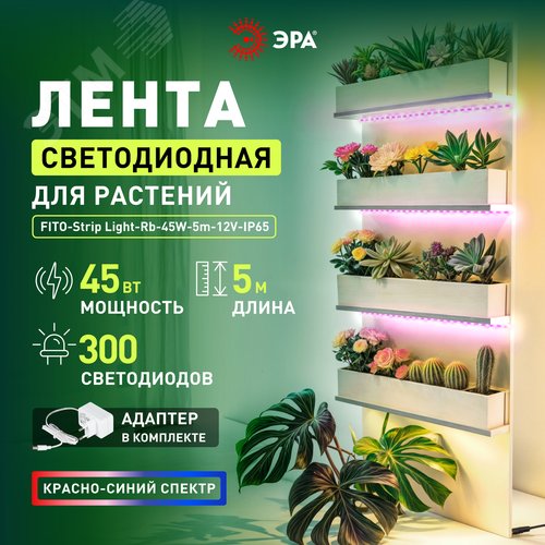Лента светодиодная для растений с адаптером 12V FITO-Strip Light-RB-45W-5m-12V-IP65 красно-синего спектра 5м IP65 GREEN LINE - фото 9