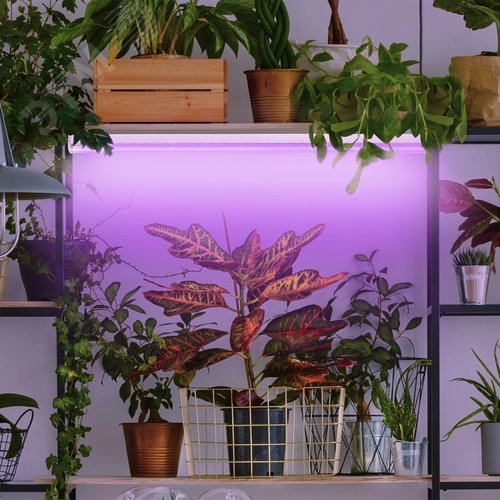 Фитолампа для растений светодиодная FITO-18W-RB-Т8-G13-NL и мясных прилавков 18 Вт Т8 G13 красно-синего спектра - фото 7