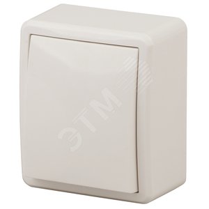 Изображение товара Выключатель одноклавишный наружный (открытой установки) IP20 слоновая кость 10А 250В винтовые зажимы ЭРА Эксперт 11-1201-02 (шт)