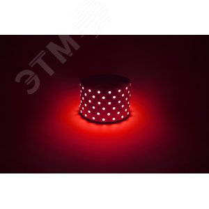 Лента светодиодная 14,4Вт/м 12В красный IP20 60LED/м LS5050-14,4-60-12-R-IP20-1 year-5m - фото 2