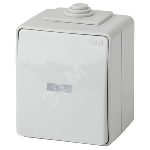 Изображение товара Выключатель одноклавишный наружный (открытой установки) с подсветкой IP65 серый 10А 250В винтовые зажимы ЭРА Эксперт 11-1602-03 (шт)