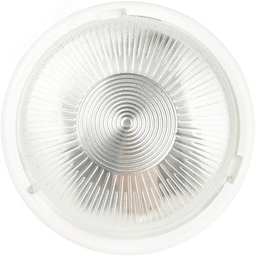 Светильник НБО 05-100-001 с ободком Рондо пластик/стекло IP44 E27 max 100 Вт круг белый - фото 2