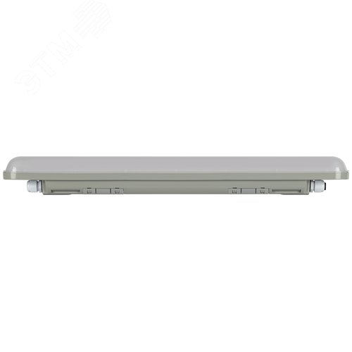 Светильник линейный светодиодный 18Вт 6500К 2250Лм IP65 600 матовый SPP-202-0-65K-L18 - фото 4