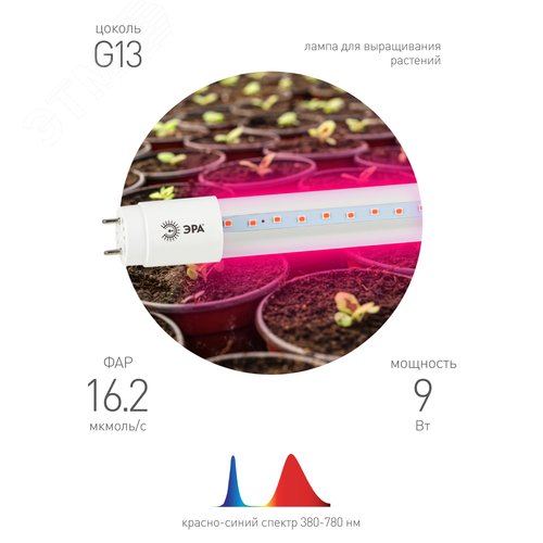 Лампа светодиодная сине-красная Т8 для профессионального выращивания растений FITO-9W-RB-Т8-G13-NL - фото 5