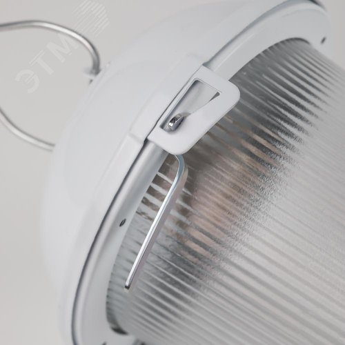 Светильник НСП 02-100-001 без решетки Желудь сталь / стекло IP54 E27 max 100Вт 170х260 белый - фото 9