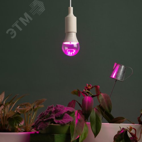 Фитолампа для растений светодиодная GREEN LINE ФИТО A60-15W-PL-E27-GR красно-синего спектра 15 Вт Е27 - фото 5