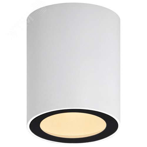 Светильник настенно-потолочный спот OL48 WH/BK MR16 GU10 IP20 черный, белый - фото 2