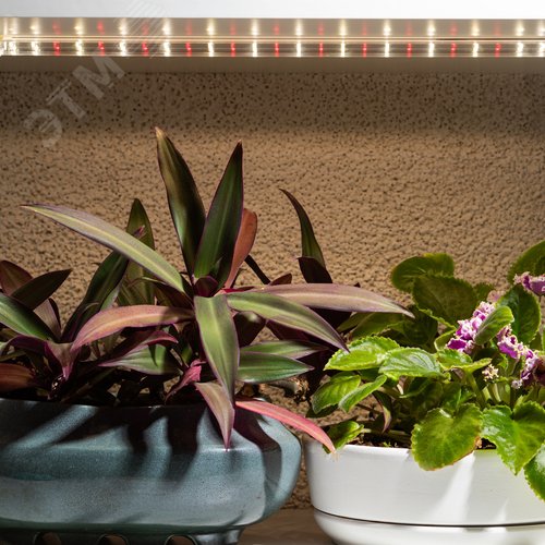 Светильник для растений, фитолампа светодиодная линейная FITO-10W-Т5-Ra90-Slim полного спектра 10 Вт Т5 - фото 7