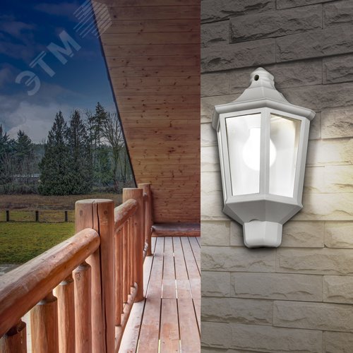 Светильник садово-парковый НБУ 60Вт 06-60-003 Ника белый прозрачный - фото 9