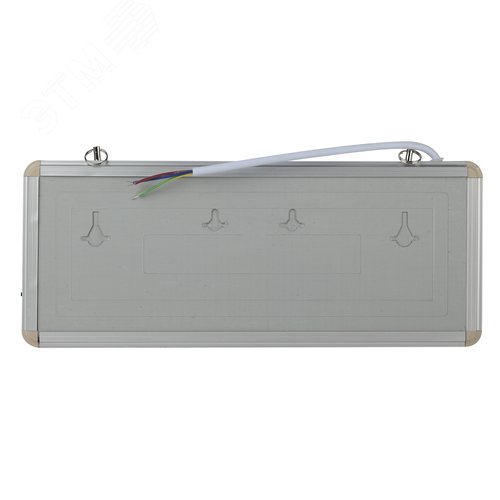 Светильник аварийный светодиодный 1,5ч 3 Вт ЗАПАСНЫЙ ВЫХОД SSA-101-4-20 - фото 2