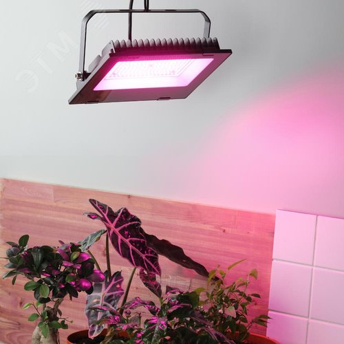 Прожектор красно-синего спектра FITO-100W-RB-LED - фото 12