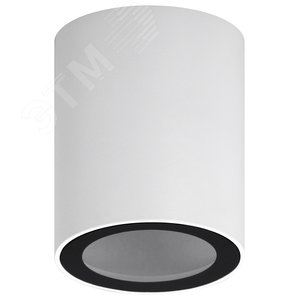 Светильник настенно-потолочный спот OL48 WH/BK MR16 GU10 IP20 черный, белый - фото 1