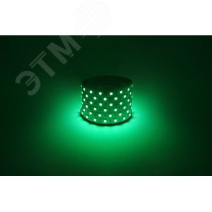 Лента светодиодная 14,4Вт/м 12В зеленый IP20 60LED/м LS5050-14,4-60-12-G-IP20-1 year-5m - фото 2