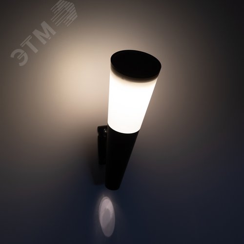 Светильник уличный ERAFS012-09 на солнечной батарее настенный Факел RGB 1 LED - фото 2