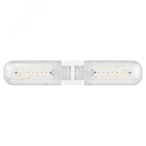 Фитолампа для растений светодиодная GREEN LINE ФИТО-20W-PFR-E27-GR 2-х лепестковая полного спектра 20 Вт Е27 - фото 8