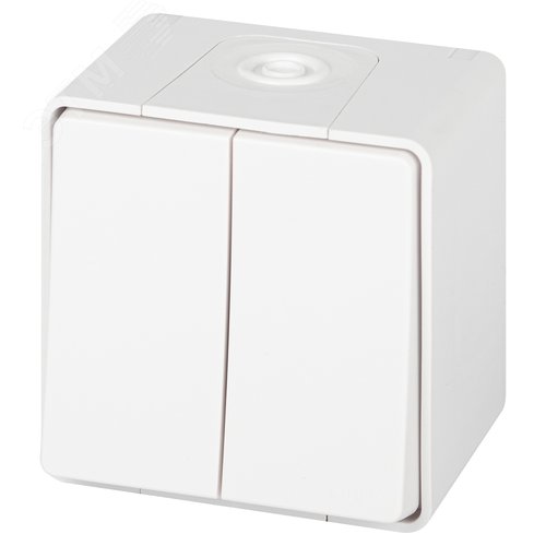 Изображение товара Выключатель двухклавишный наружный (открытой установки) IP55 белый 10А 250В винтовые зажимы ЭРА Эксперт 11-1504-01 (шт)