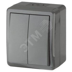 Изображение товара Выключатель двухклавишный наружный (открытой установки) IP54 серый 10А 250В винтовые зажимы ЭРА Эксперт 11-1404-03 (шт)