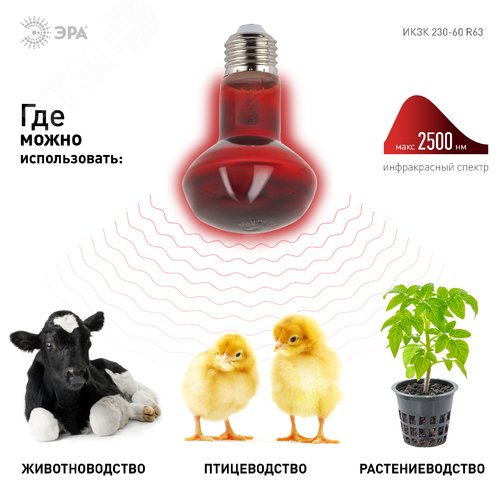 Инфракрасная лампа ИКЗК 230-60 R63 Е27 для обогрева животных 60 Вт Е27 - фото 5