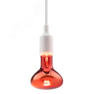 Инфракрасная лампа E27 кратность 1 шт для обогрева животных и освещения 100 Вт ИКЗК 230-100 R95 Б0062411 ЭРА - 4