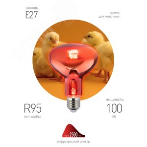 Инфракрасная лампа E27 для обогрева животных и освещения 100 Вт ИКЗК 230-100 R95 E27 Б0062000 ЭРА - 2