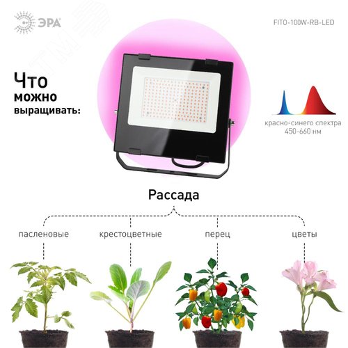 Прожектор красно-синего спектра FITO-100W-RB-LED - фото 10