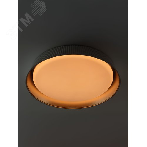 Светильник потолочный светодиодный ДПБ 48Вт 2600Лм 3000-6500К Классик без ДУ SPB-6 Bella 48W-3K-6,5K WH 3000-6500К белый - фото 9