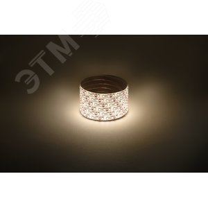 Лента светодиодная 9,6Вт/м 12В 3000К IP65 120LED/м LS2835-120LED-IP65-WW-eco-5м - фото 3