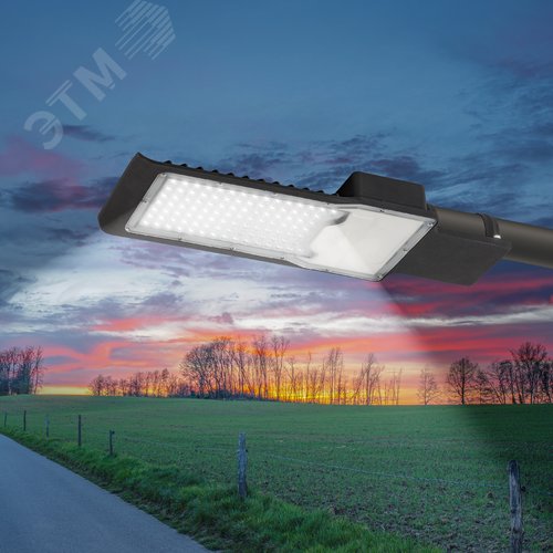 Светильник уличный светодиодный ДКУ 100Вт 5000К 10000Лм КСС Ш 48мм SPP-503-0-50K-100 - фото 9