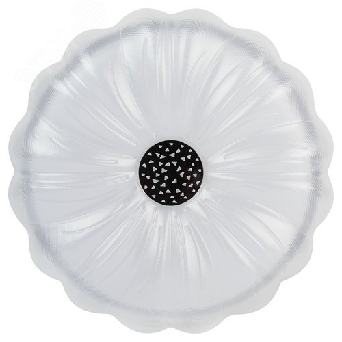 Светильник потолочный светодиодный ДПБ 48Вт 2800Лм 5000К Классик без ДУ SPB-6 Muze 48W-5K WH+CH 5000К белый/шампань - фото 2