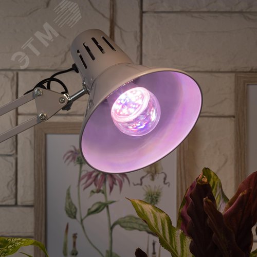 Лампа светодиодная лампа для растений тип А60,11 Вт, 220-240V FITO-11W-Ra90-E27 - фото 4