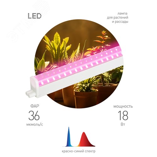 Светильник для растений, фитолампа светодиодная линейная FITO-18W-PL-LINE 573-GR красно-синего спектра 18 Вт Т5 - фото 1