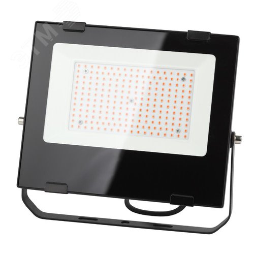 Прожектор красно-синего спектра FITO-100W-RB-LED - фото 3