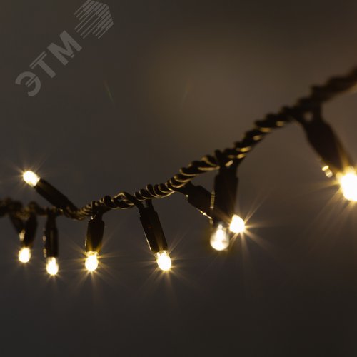 Гирлянда светодиодная новогодняя ERAPS-NK10 нить 10 м теплый свет 100 LED - фото 2