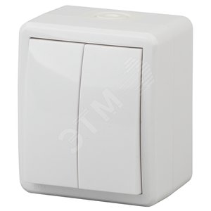 Изображение товара Выключатель двухклавишный наружный (открытой установки) IP54 белый 10А 250В винтовые зажимы ЭРА Эксперт 11-1404-01 (шт)