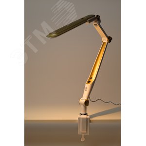 Светильник настольный светодиодный NLED-496-12W-G на струбцине золото - фото 5