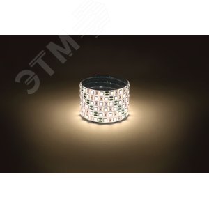 Лента светодиодная 14,4Вт/м 12В 3000К IP65 60LED/м LS5050-14,4-60-12-3000K-IP65-1 year-5m - фото 2
